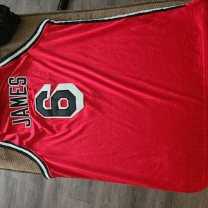 Lebron James Miami heat jersey